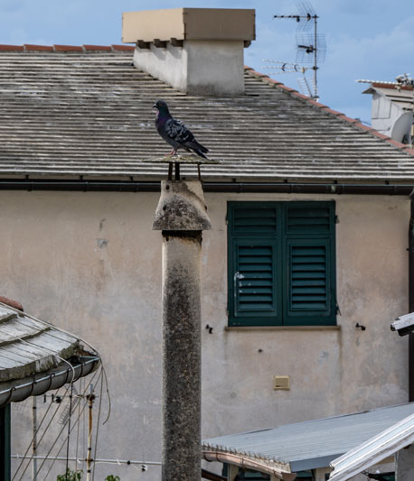 Quartiere della Maddalena